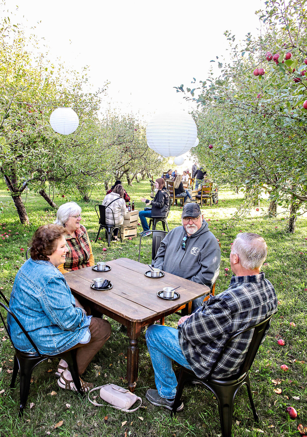 nystrom orchard 101621 0206 WEB